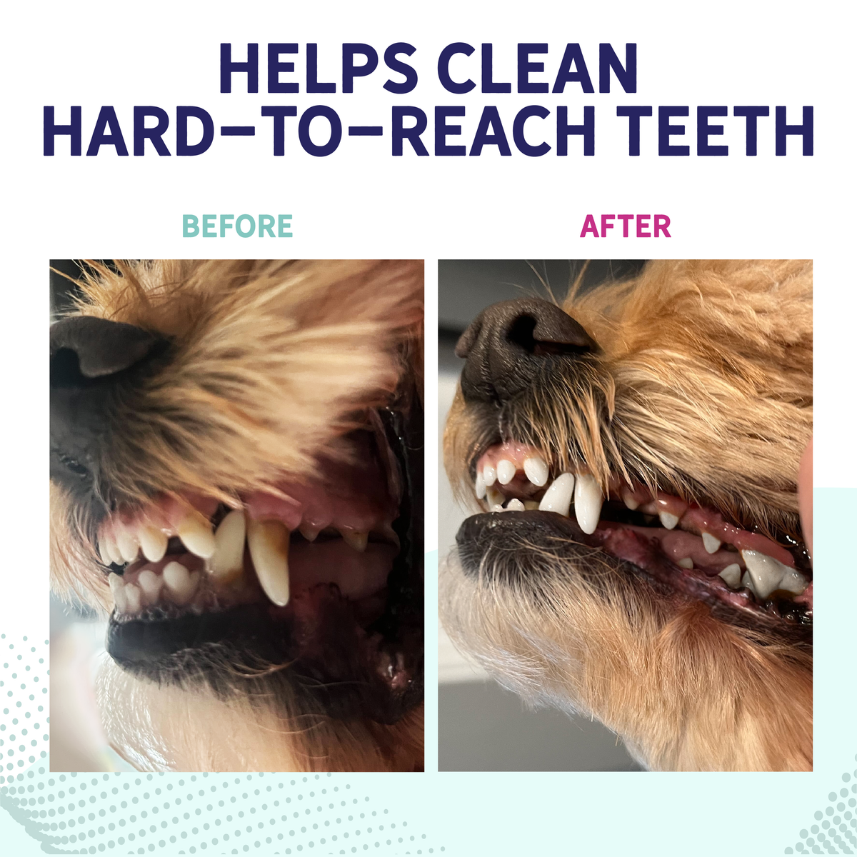 Dog Dental Chews product image 5