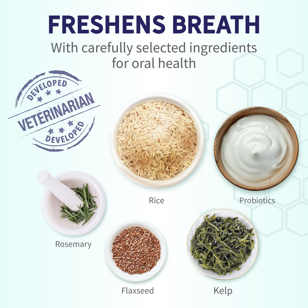 Probiotic Dental Bones product image 4