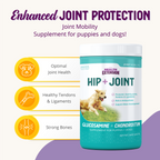 Dog Joint Supplement product image 8