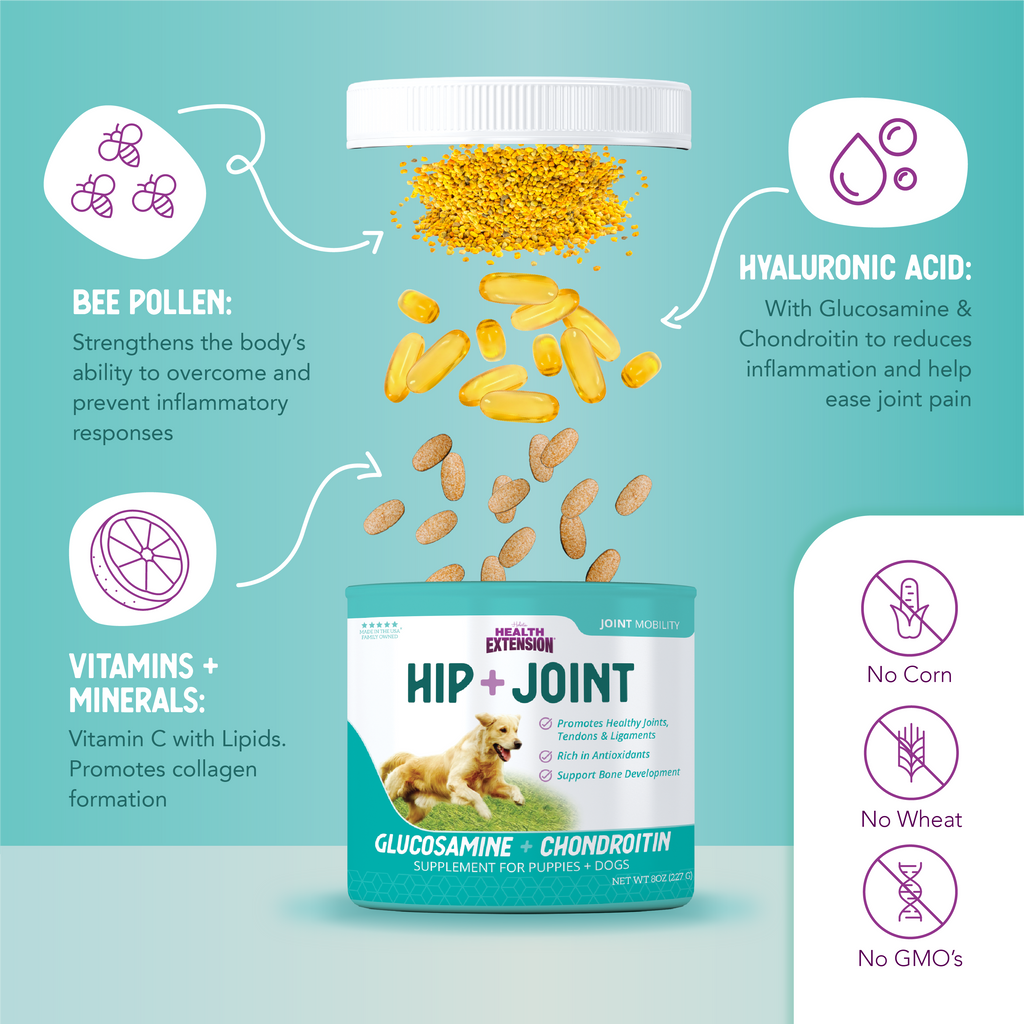 Dog Joint Supplement product image 10