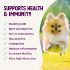 Dog Joint Supplement product image 11