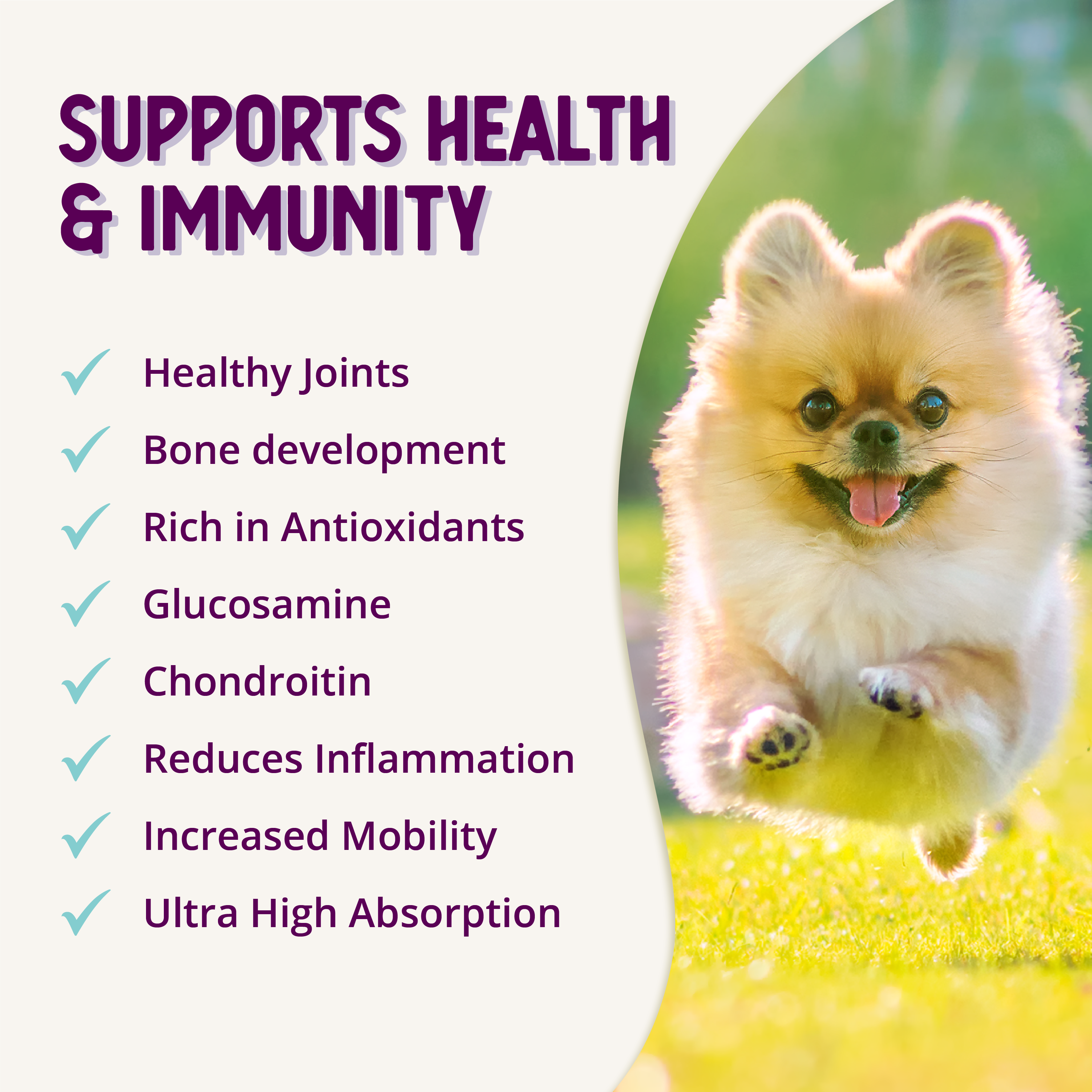 Dog Joint Supplement product image 11