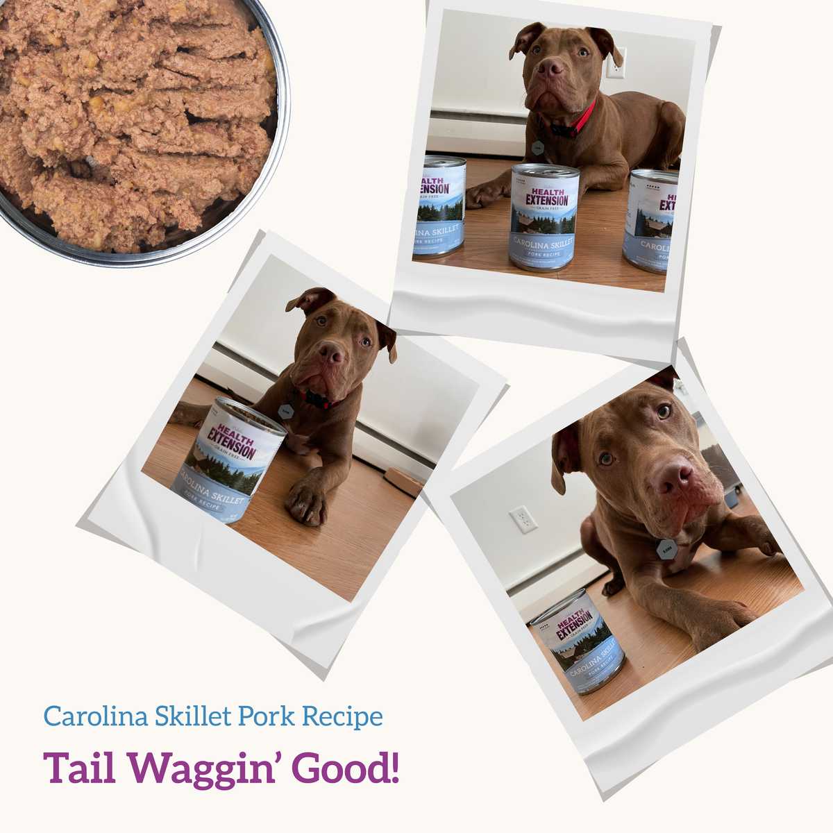 Wet Dog Food product image 10