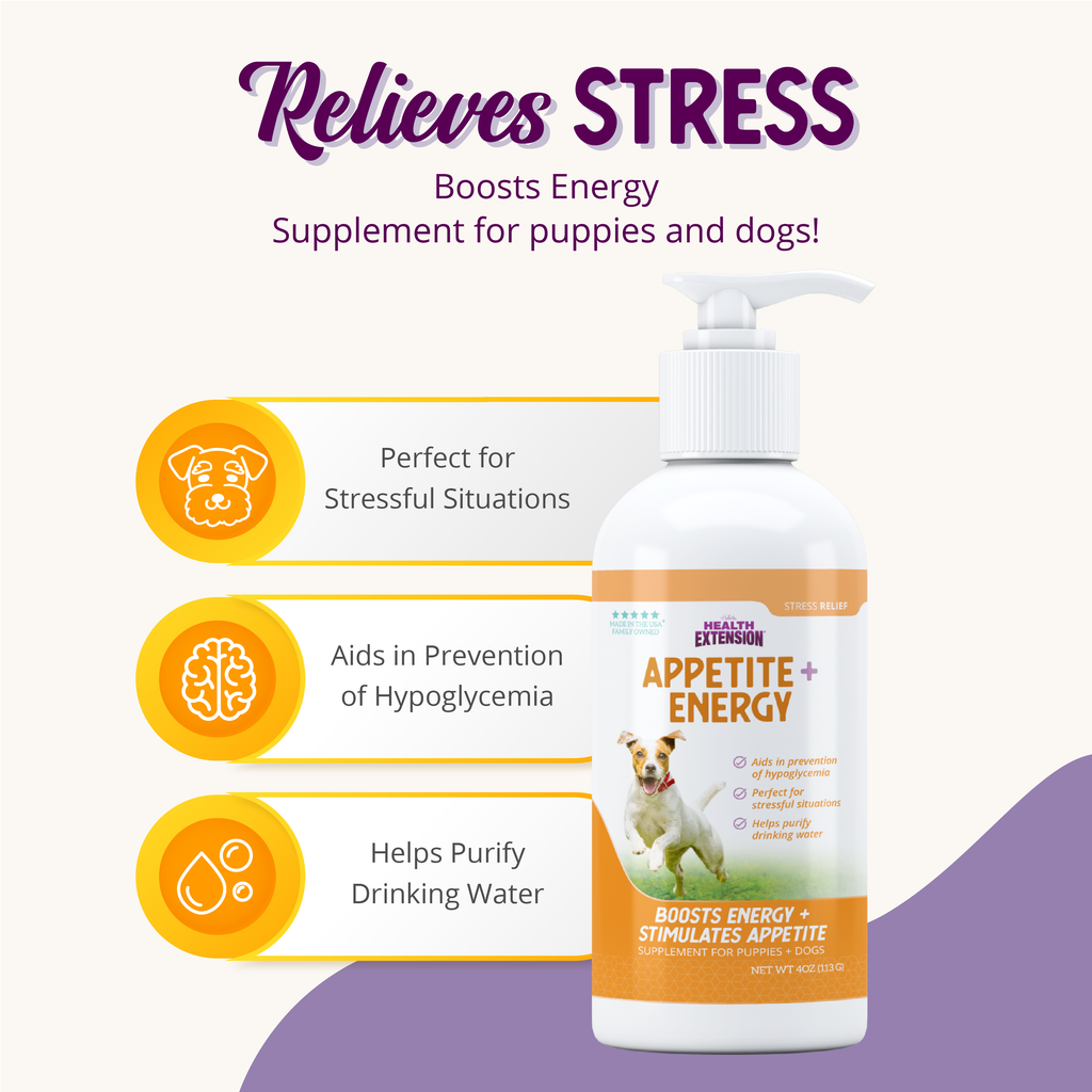 Dog Energy Supplement product image 7