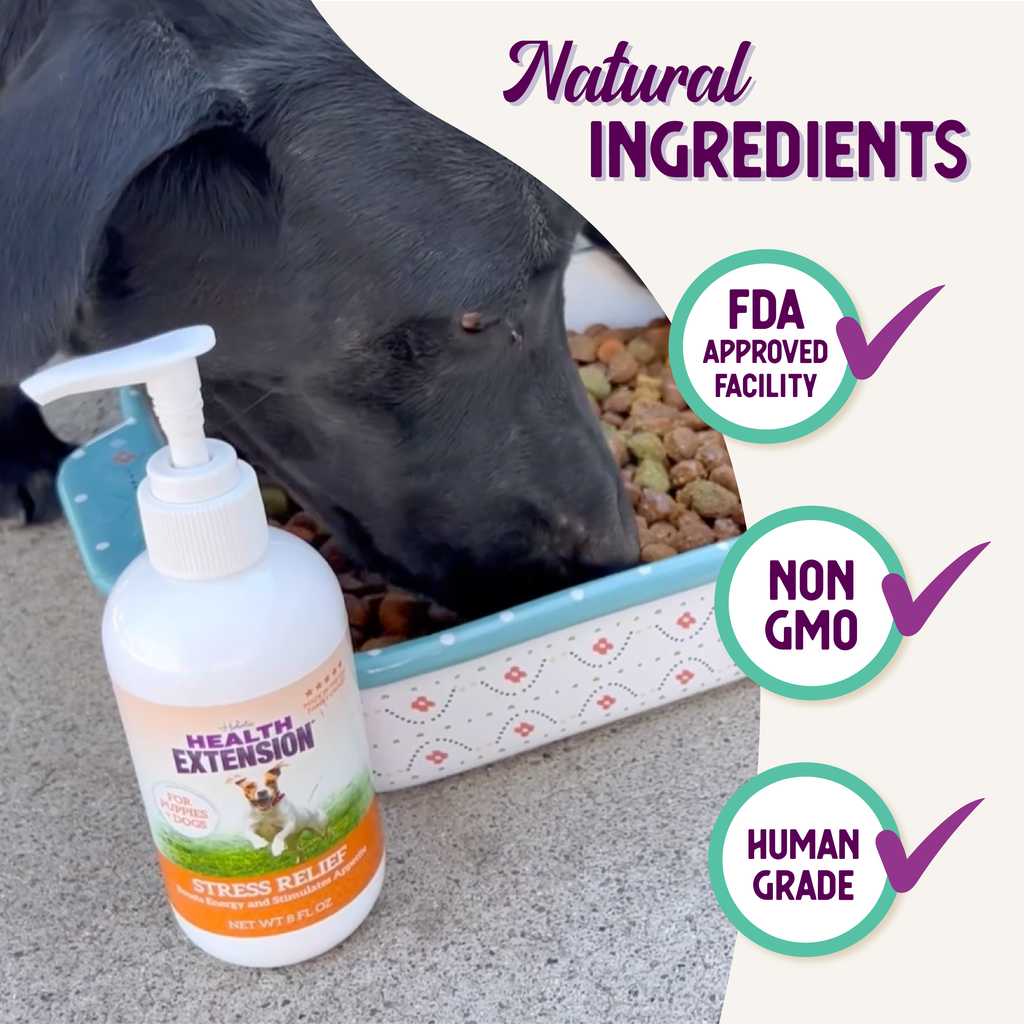 Dog Energy Supplement product image 8