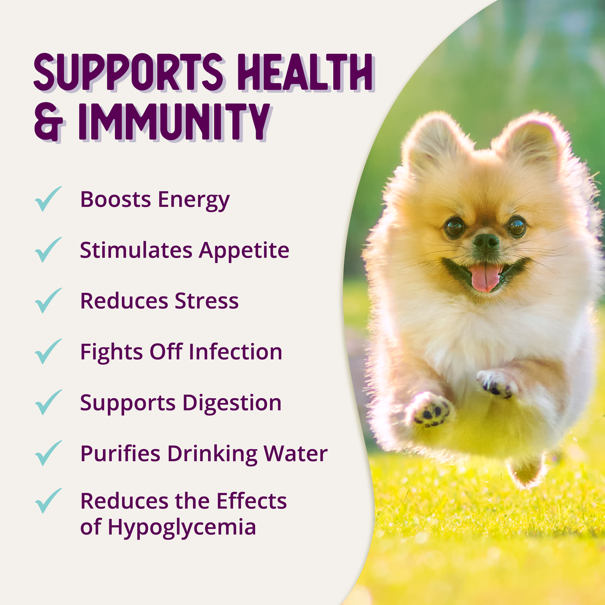Dog Energy Supplement product image 10