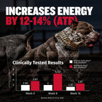 Liquid Muscle Support Supplement for Dogs product image 4