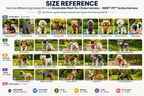 dog harnesses for small dogs