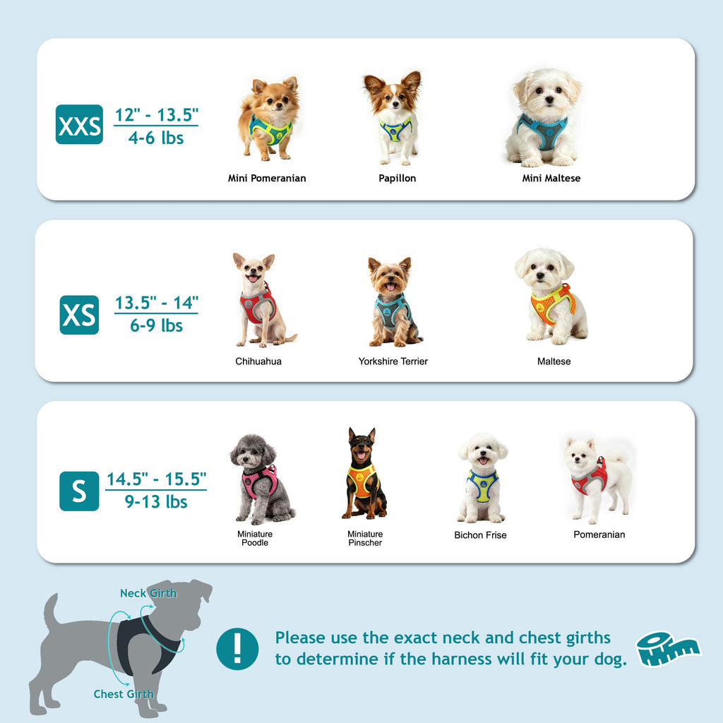 dog harnesses for small dogs