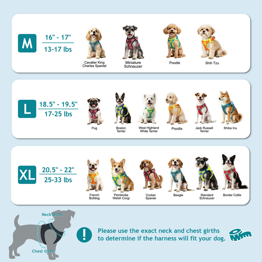 dog harnesses for small dogs