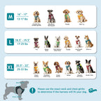 dog harnesses for small dogs