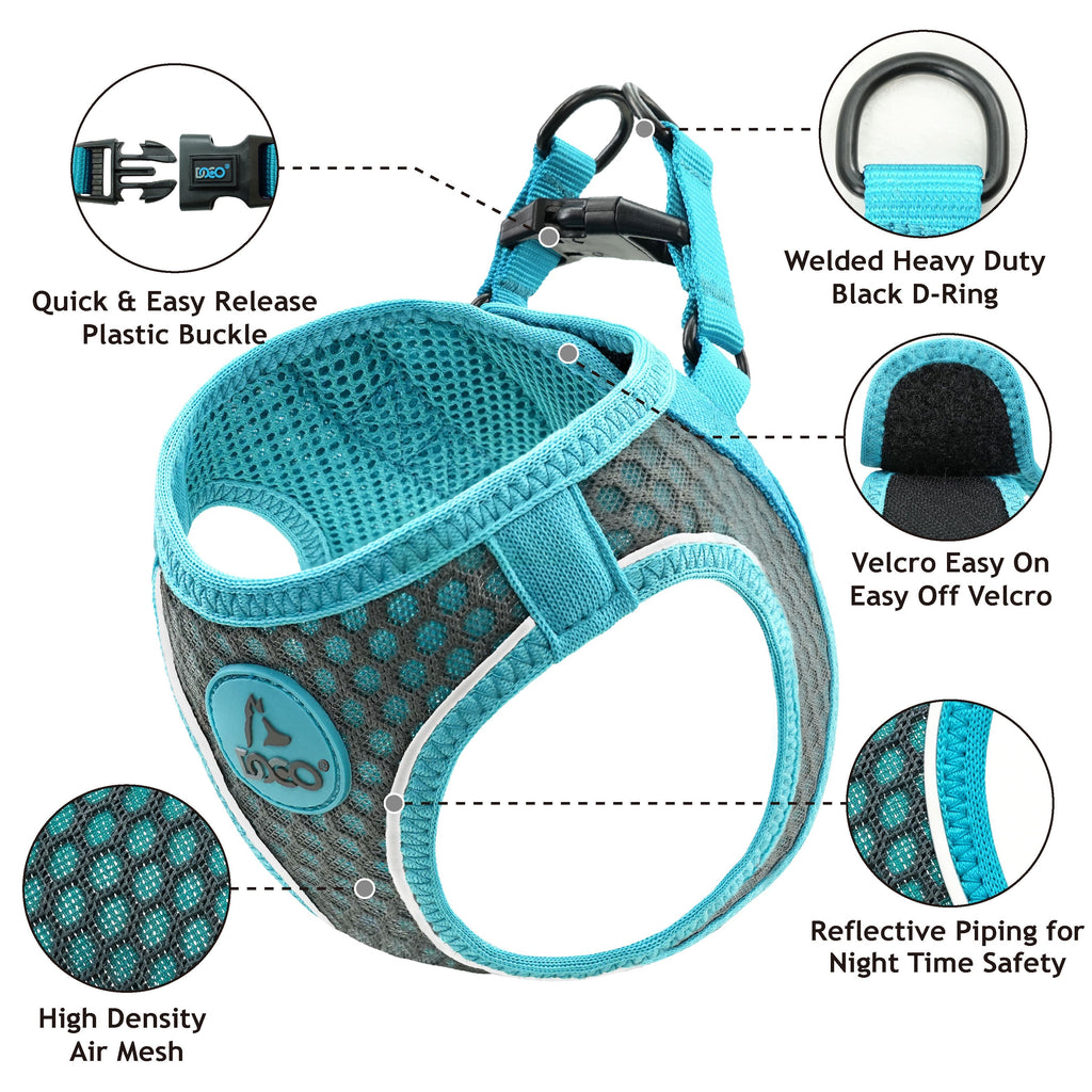 dog harnesses for small dogs
