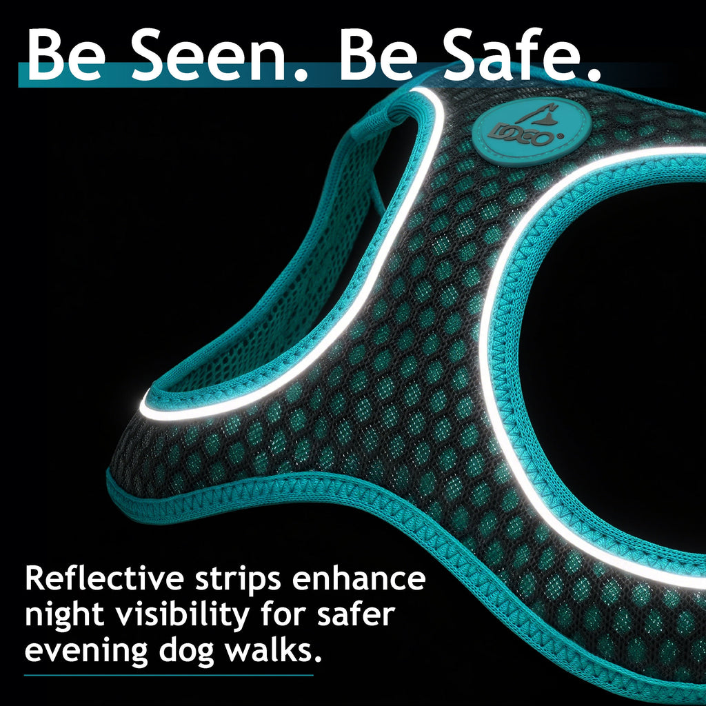 dog harnesses for small dogs