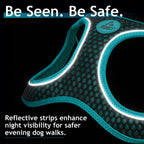 dog harnesses for small dogs