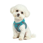 dog harnesses for small dogs