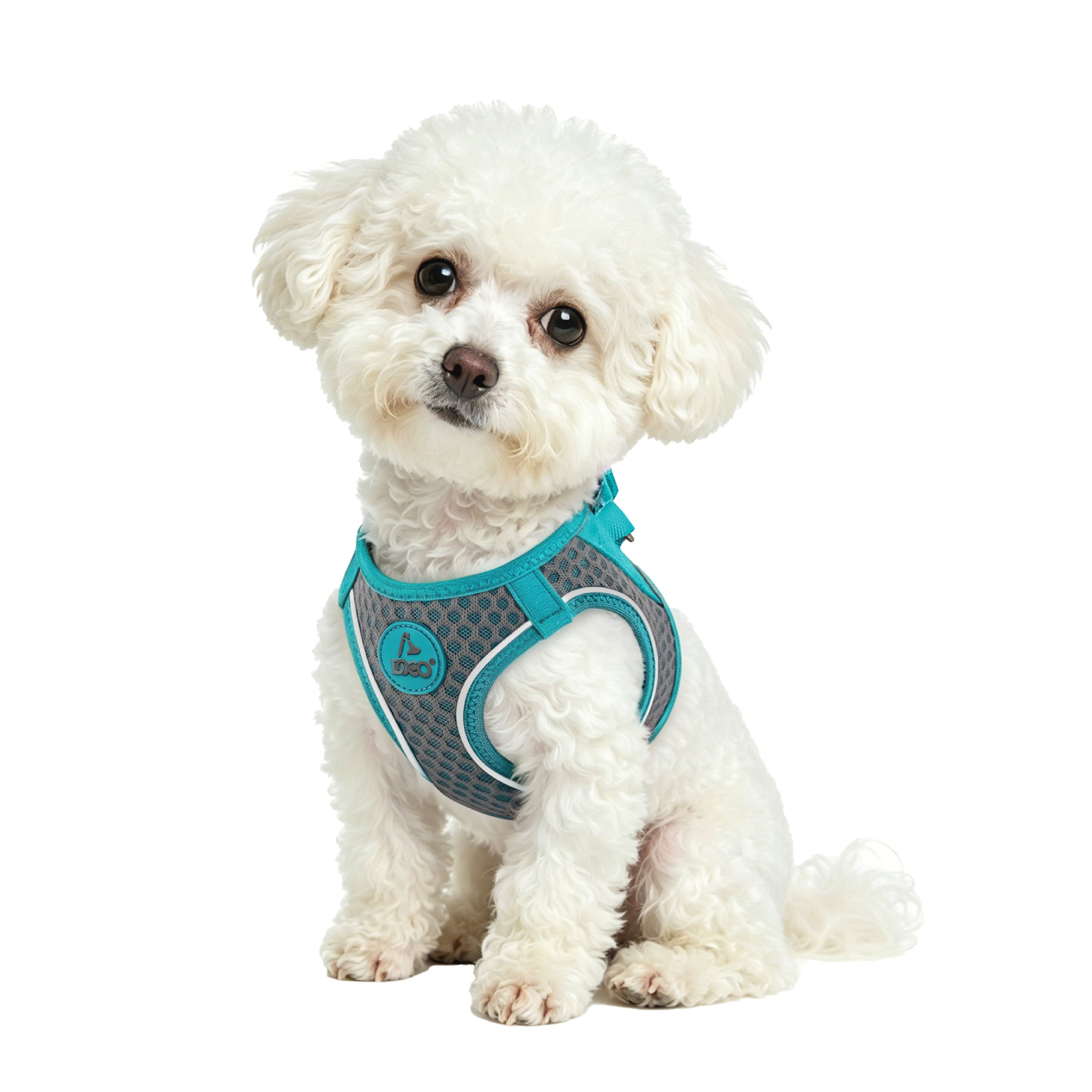 dog harnesses for small dogs