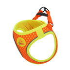 dog harnesses for small dogs
