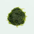 Live Aquarium Moss product image 1