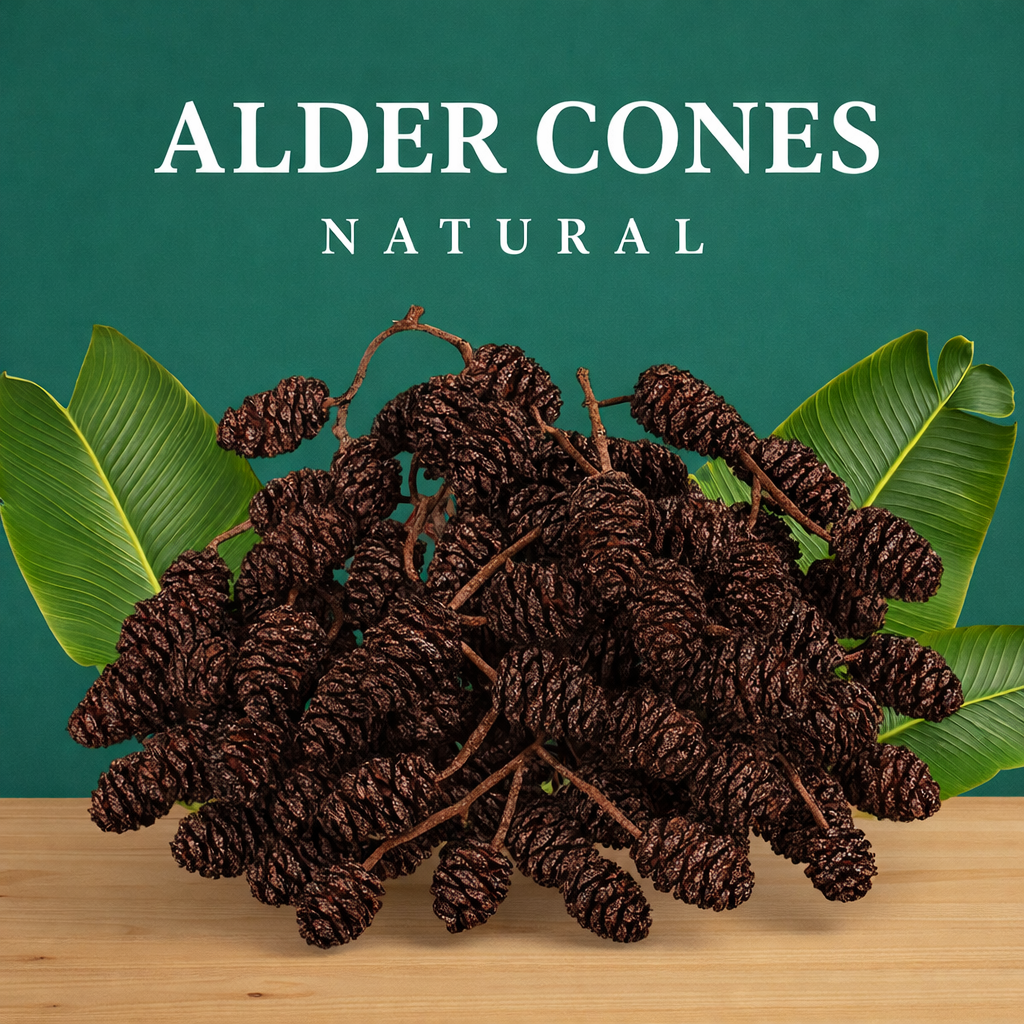 Aquarium Alder Cones product image 3