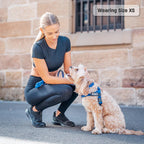 Adjustable Grab-Handle Dog Harness product image 44