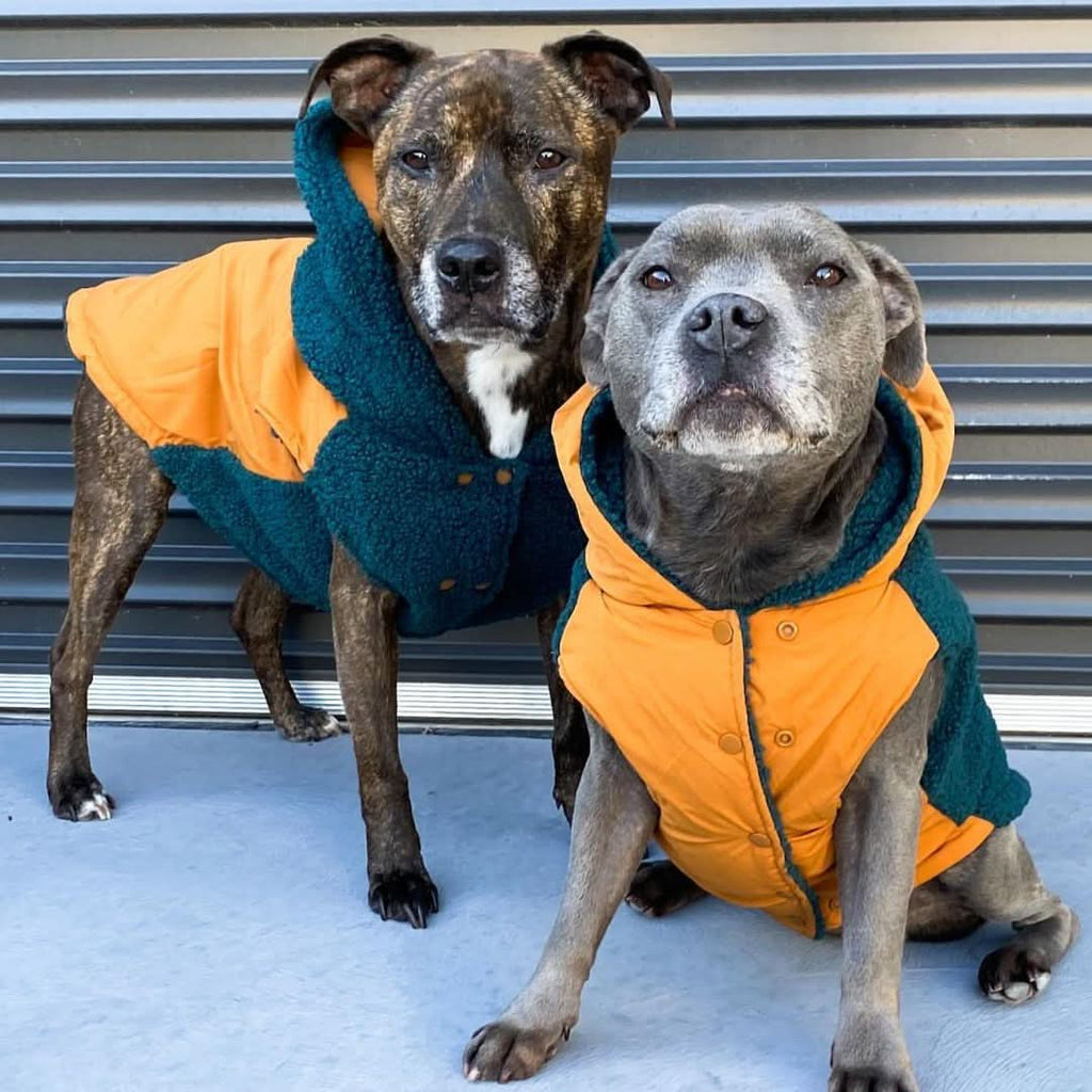 Reversible Dog Jacket product image 10