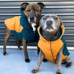 Reversible Dog Jacket product image 10