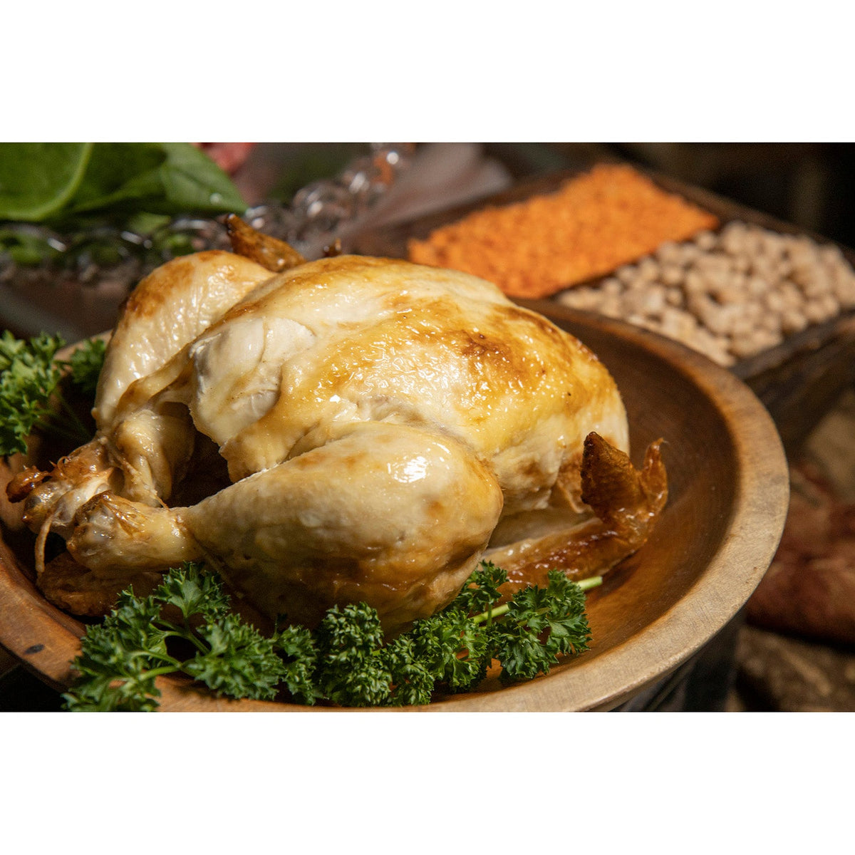 Dry Dog Food for Allergy-Sensitive Dogs, Turkey Meal Recipe for Everyday Feeding and Digestive, Joint & Coat Support