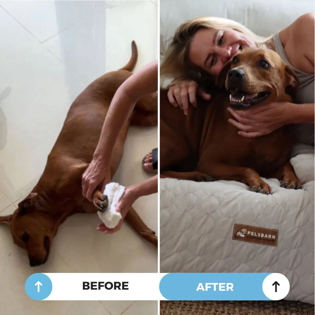 Cooling Dog Bed product image 4