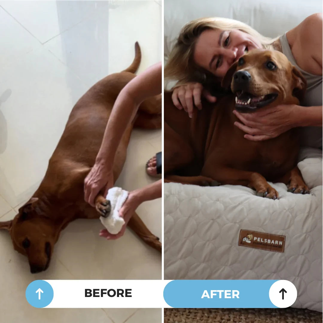 Cooling Dog Bed product image 4