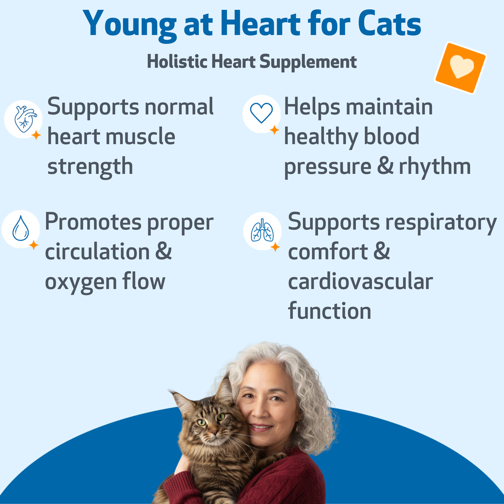 Cat Heart Supplement, Holistic Liquid Cardiovascular Support for Daily Feline Wellness: Bacon Flavor