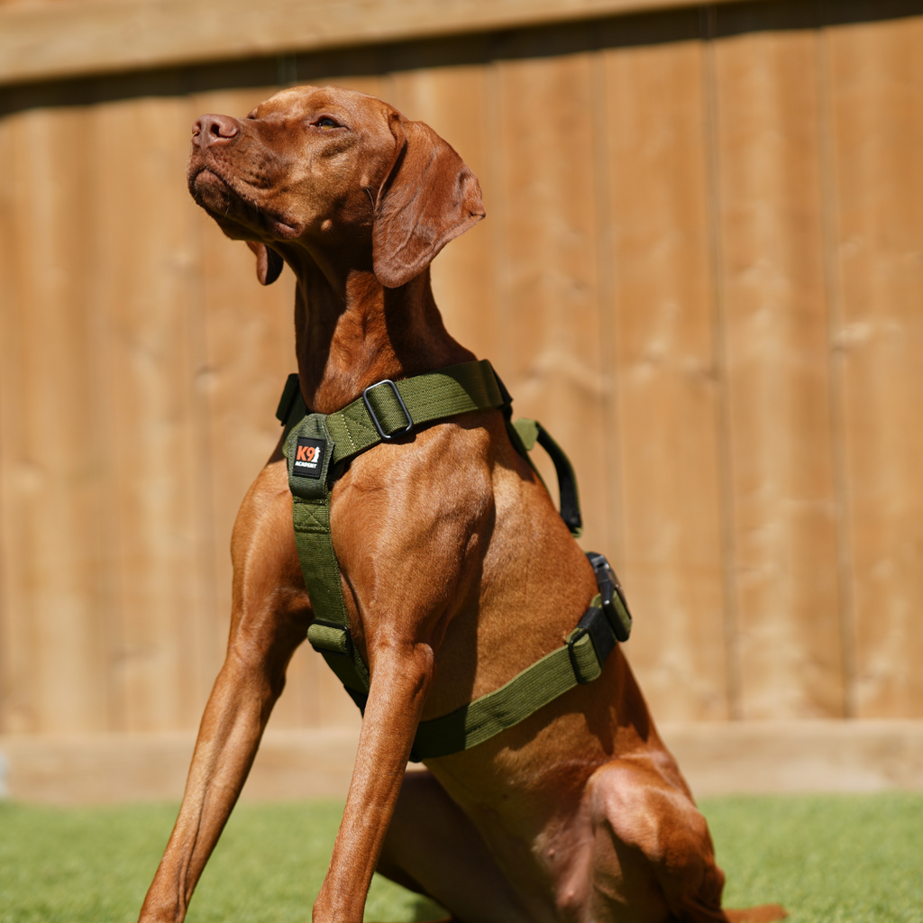 Working Dog Harness product image 2