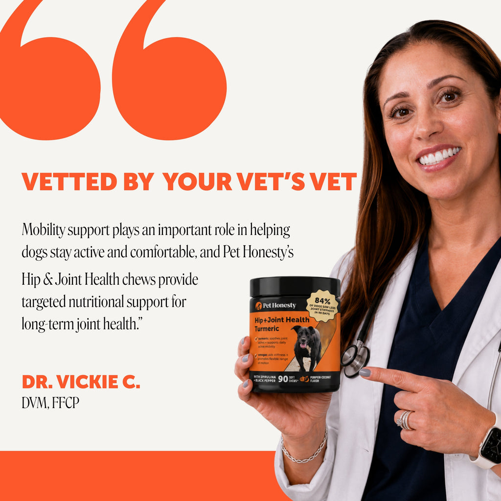 Turmeric Dog Joint Support Soft Chews product image 4