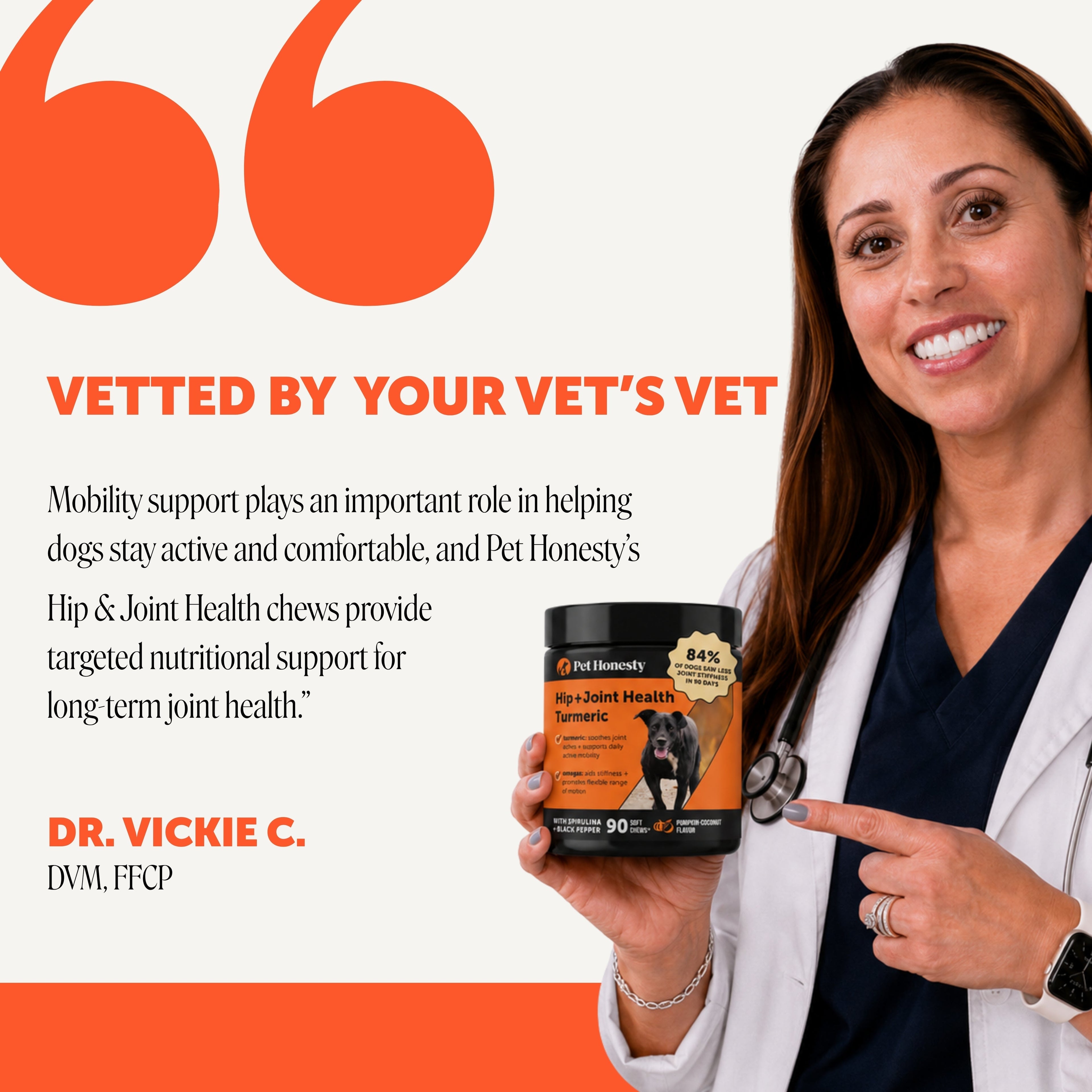 Turmeric Dog Joint Support Soft Chews product image 4