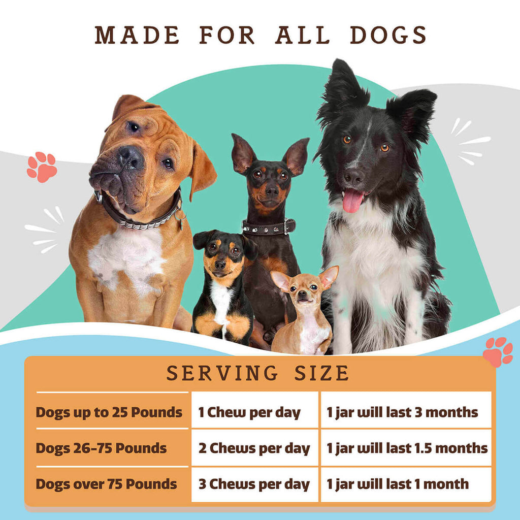 Dog Multivitamin Soft Chews product image 7