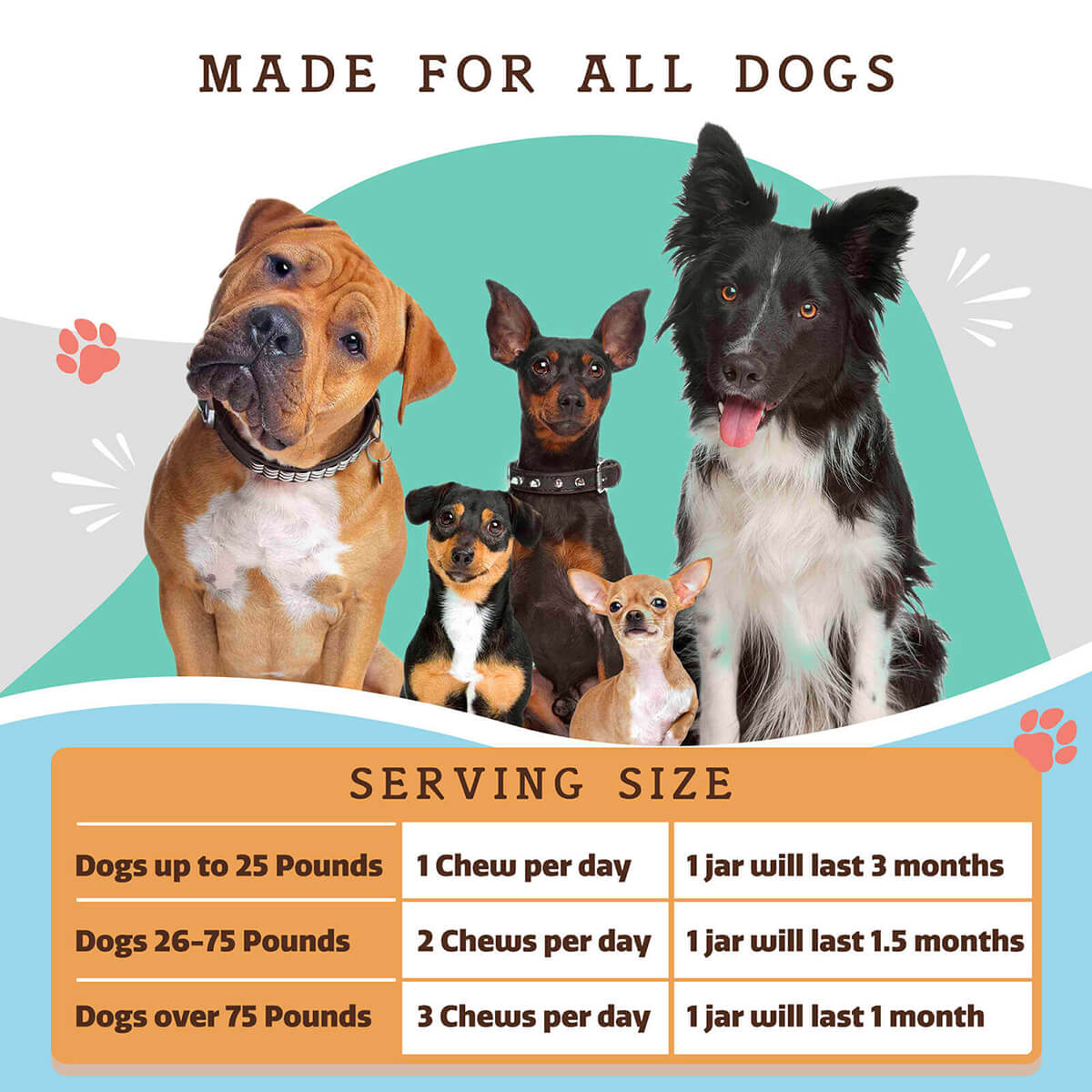 Dog Multivitamin Soft Chews product image 7