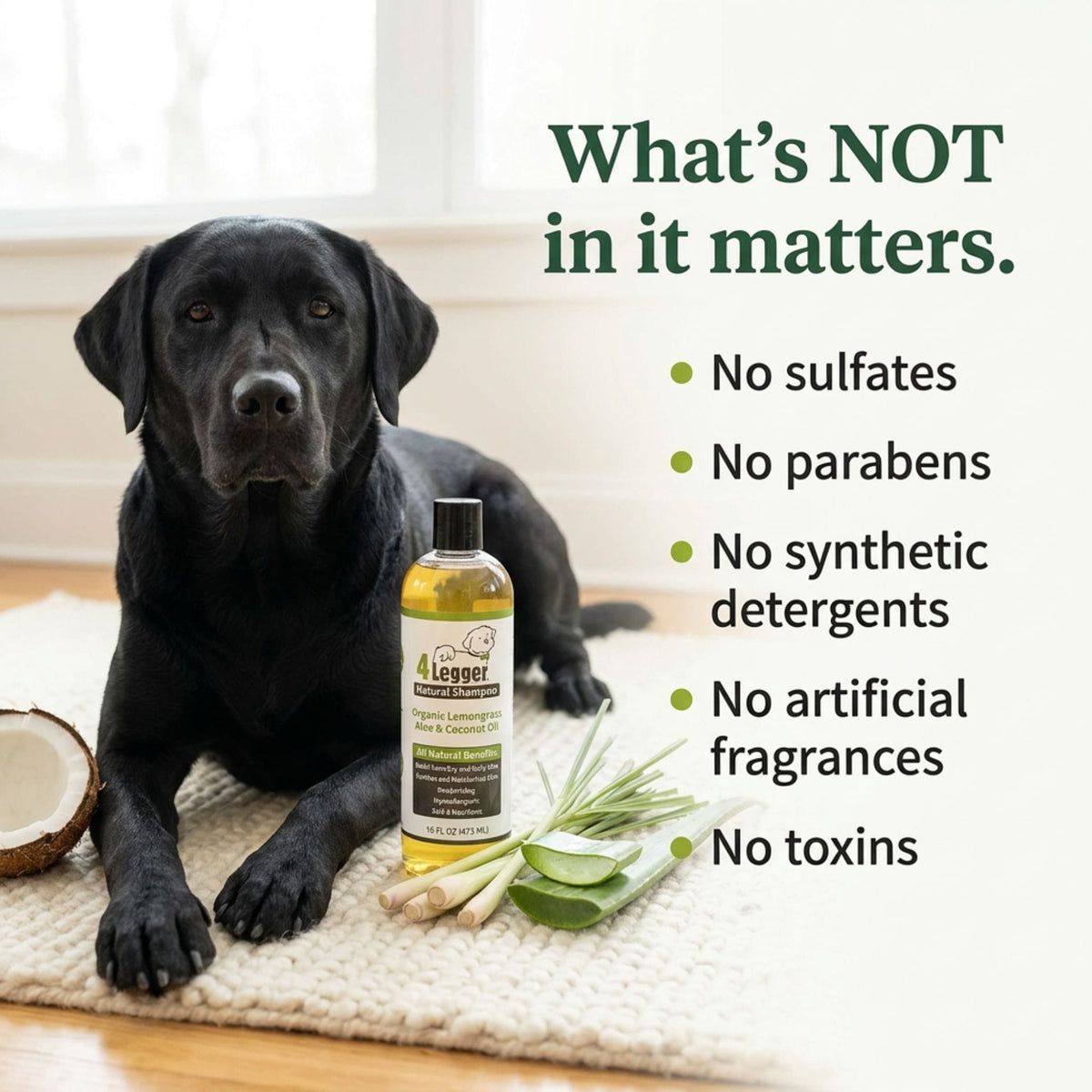 Organic Dog Shampoo product image 5