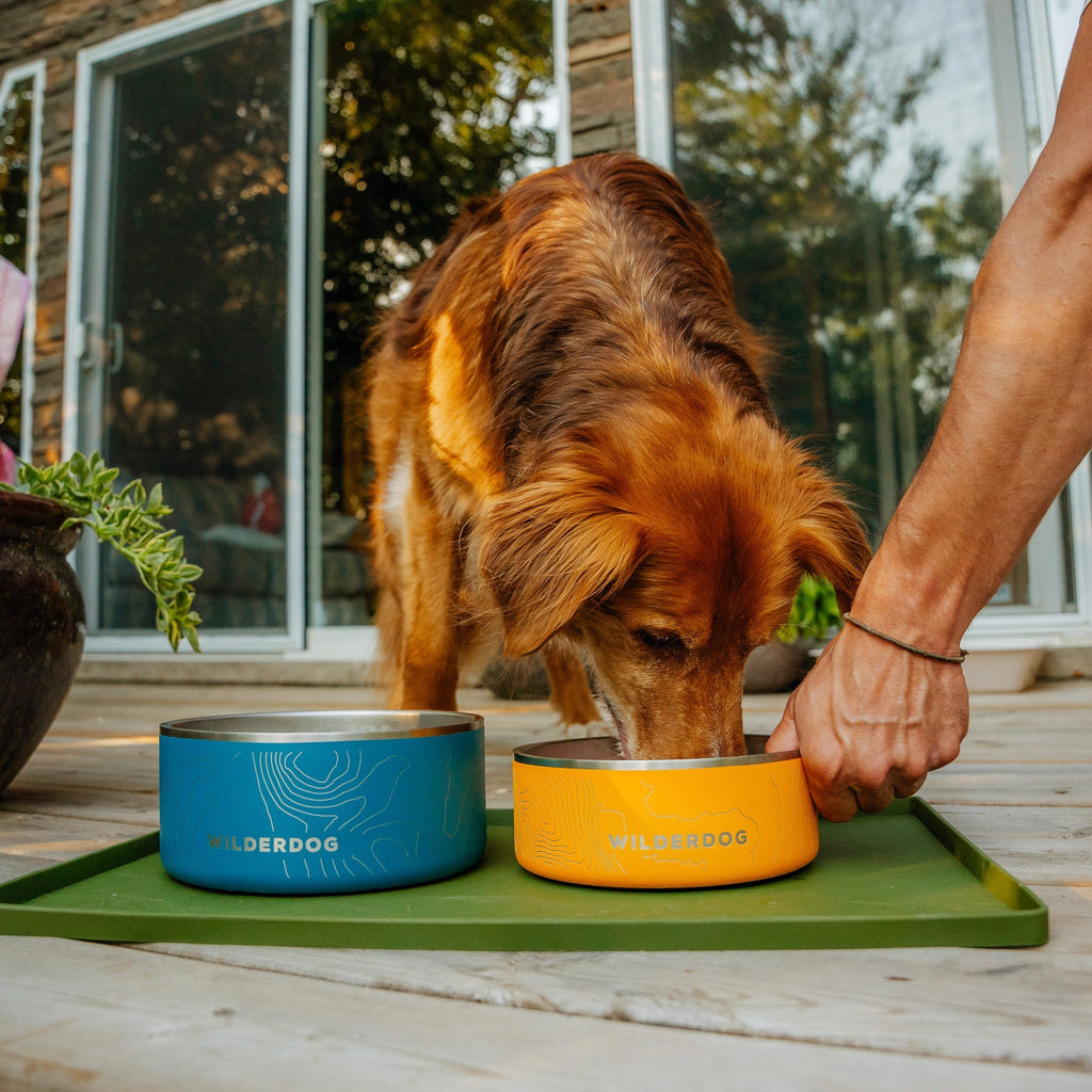 Silicone Dog Bowl Placemat product image 4
