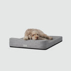 Water-Repellent Dog Crate Bed product image 15