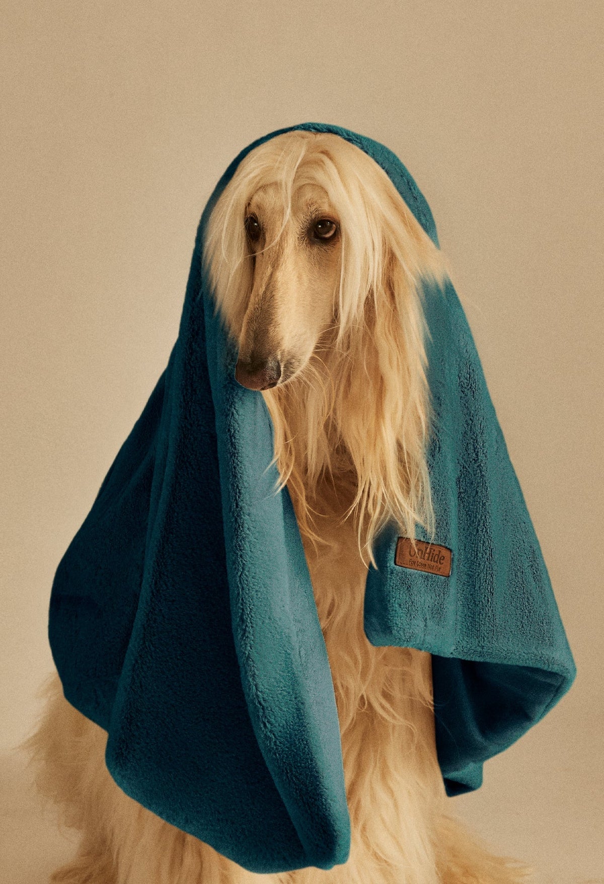 Water-Resistant Pet Blanket product image 19