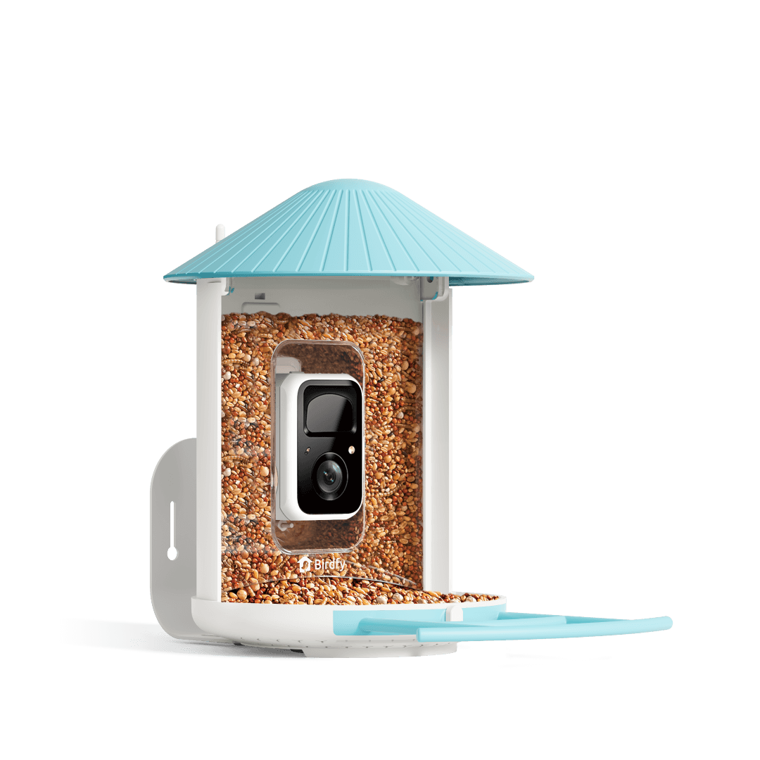Smart Bird Feeder Camera Standard Kit / AI by Subscription