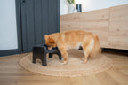 Elevated Pet Slow Feeder Bowl Set product image 6