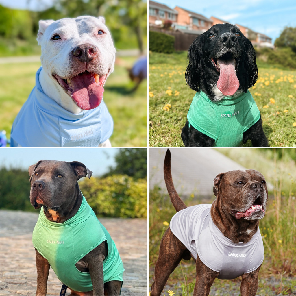 UPF 30 Dog Sun Shirt product image 53