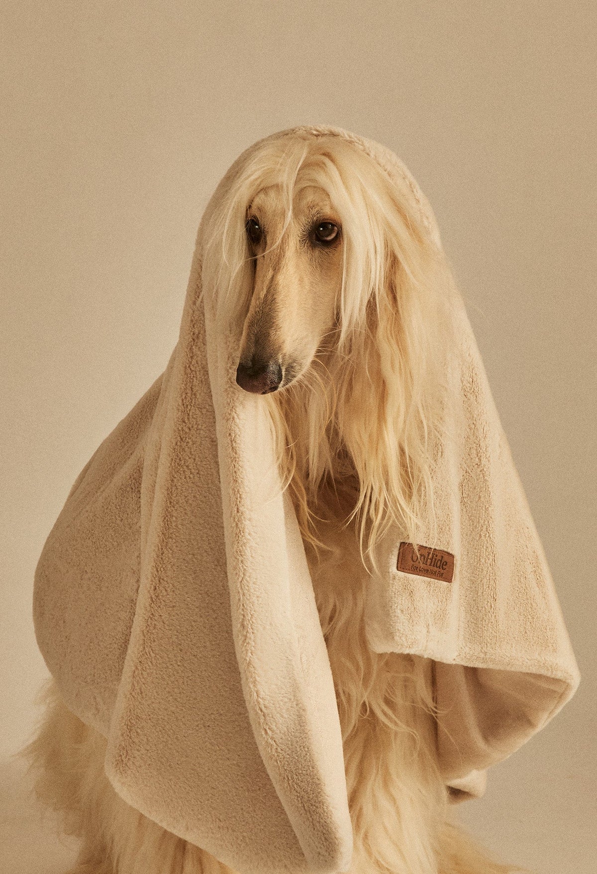 Water-Resistant Pet Blanket product image 1