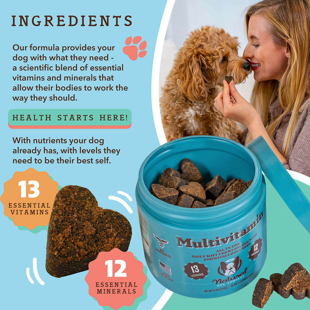 Dog Multivitamin Soft Chews product image 3