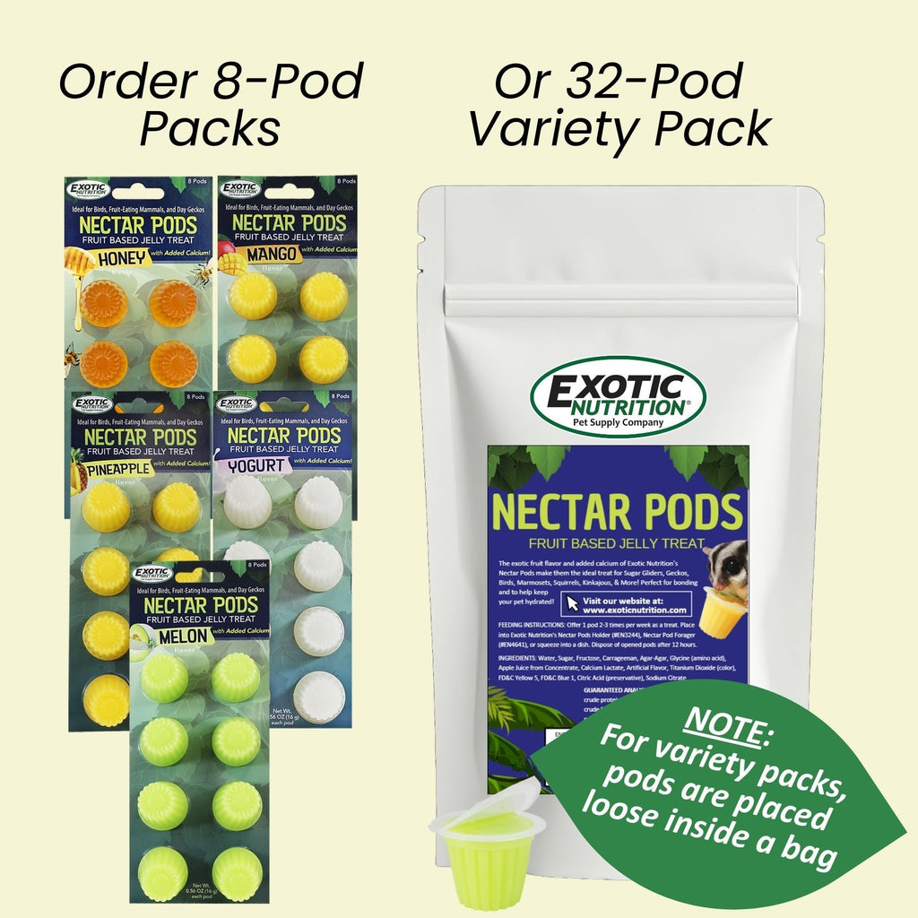 Fruit Jelly Nectar Pods for Exotic Pets product image 6