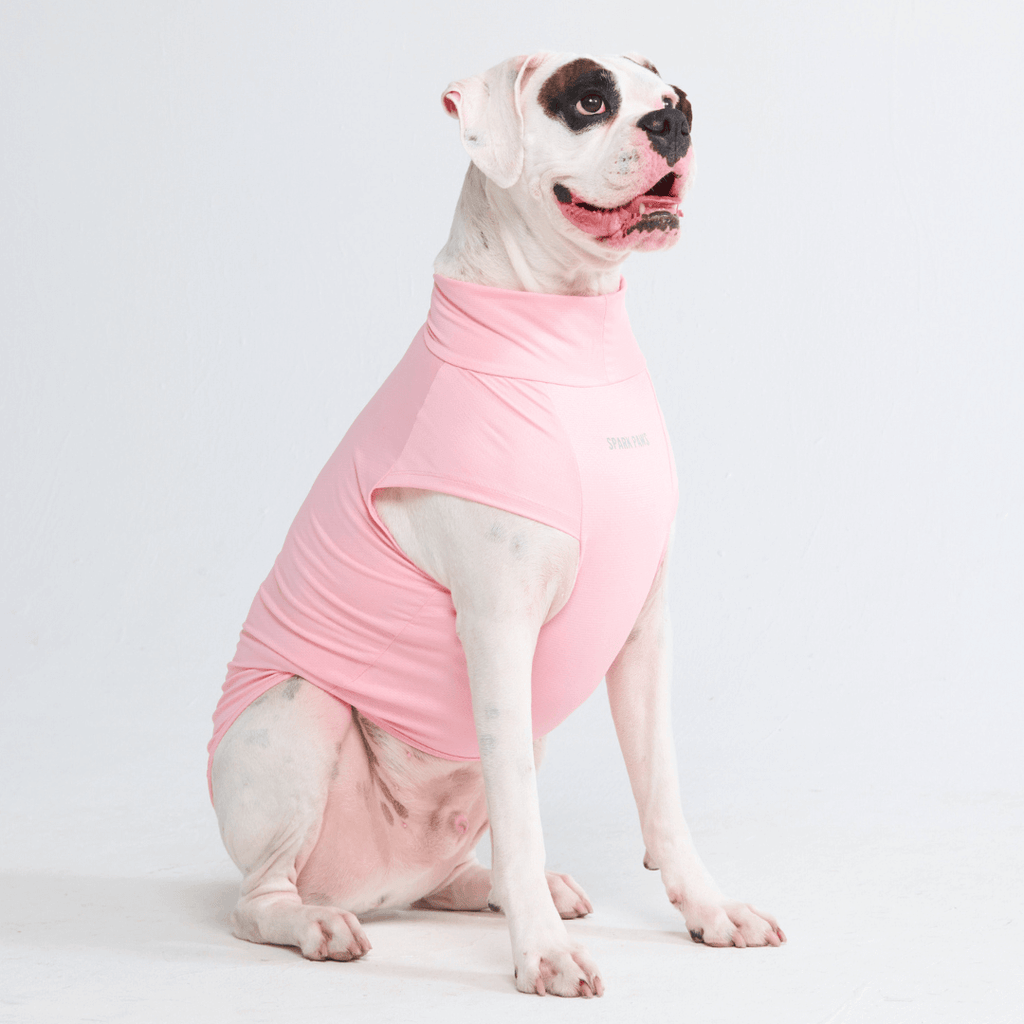 UPF 30 Dog Sun Shirt product image 11