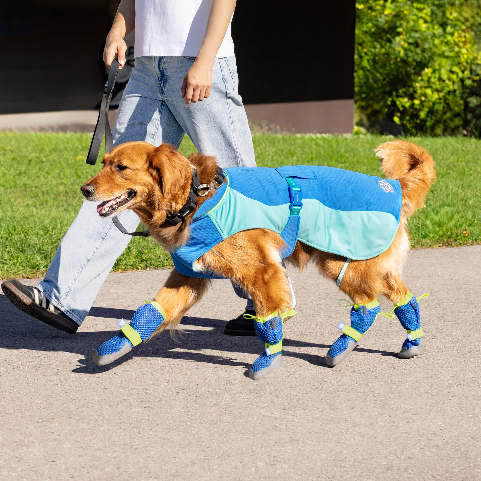 Hot Pavement Dog Boots product image 16