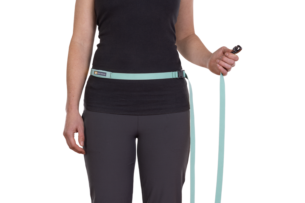 Hands-Free Dog Leash product image 30