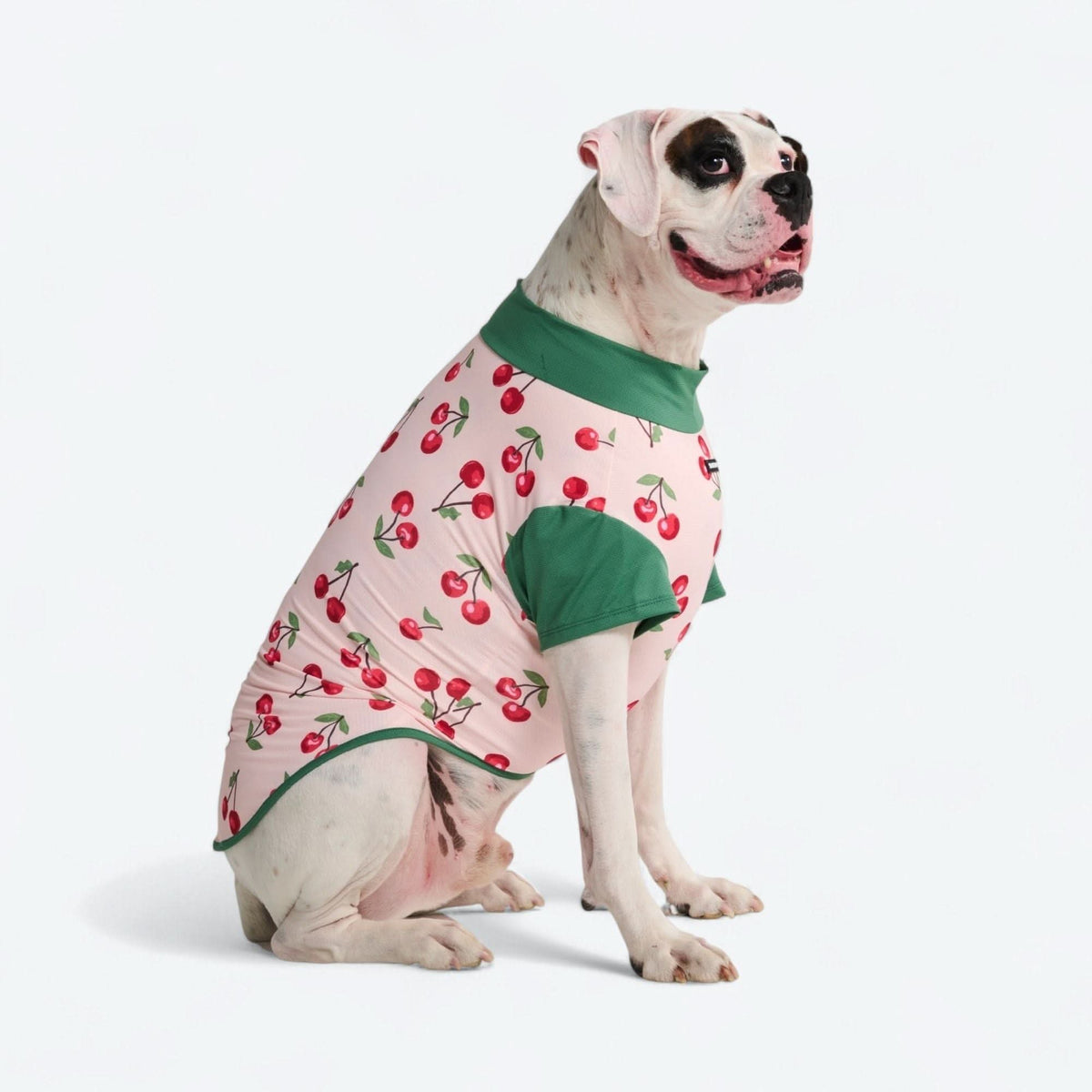 UPF 30 Printed Dog Sun Shirt product image 52