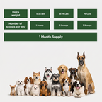 Dog Muscle and Joint Supplement Powder product image 5